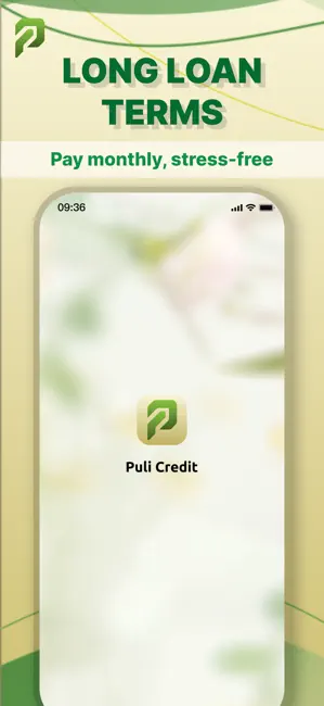 Puli Credit-loan app&cash loan iPhone screenshot 1