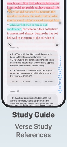 Bible - Companion iPhone screenshot