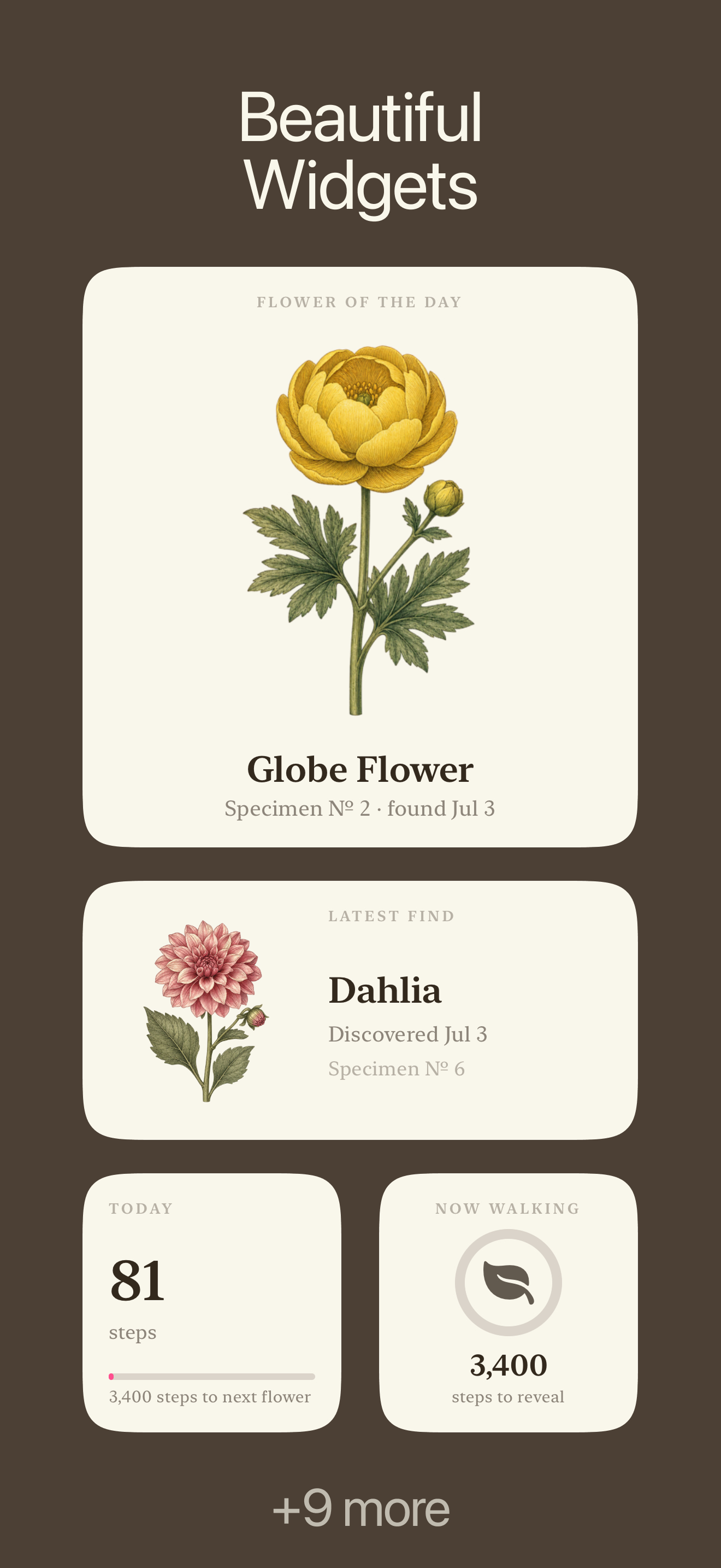 Walk Flower screenshot 4