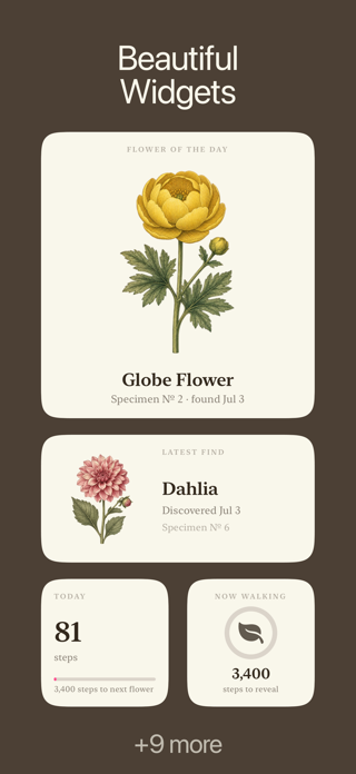 Walk Flower Screenshot 4 of 4