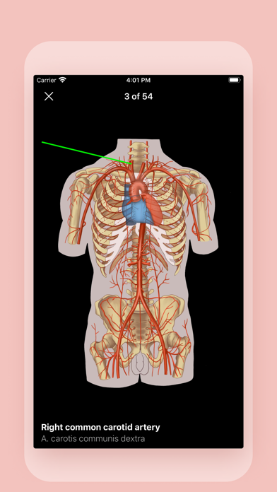 Easy Anatomy 3Dのおすすめ画像10