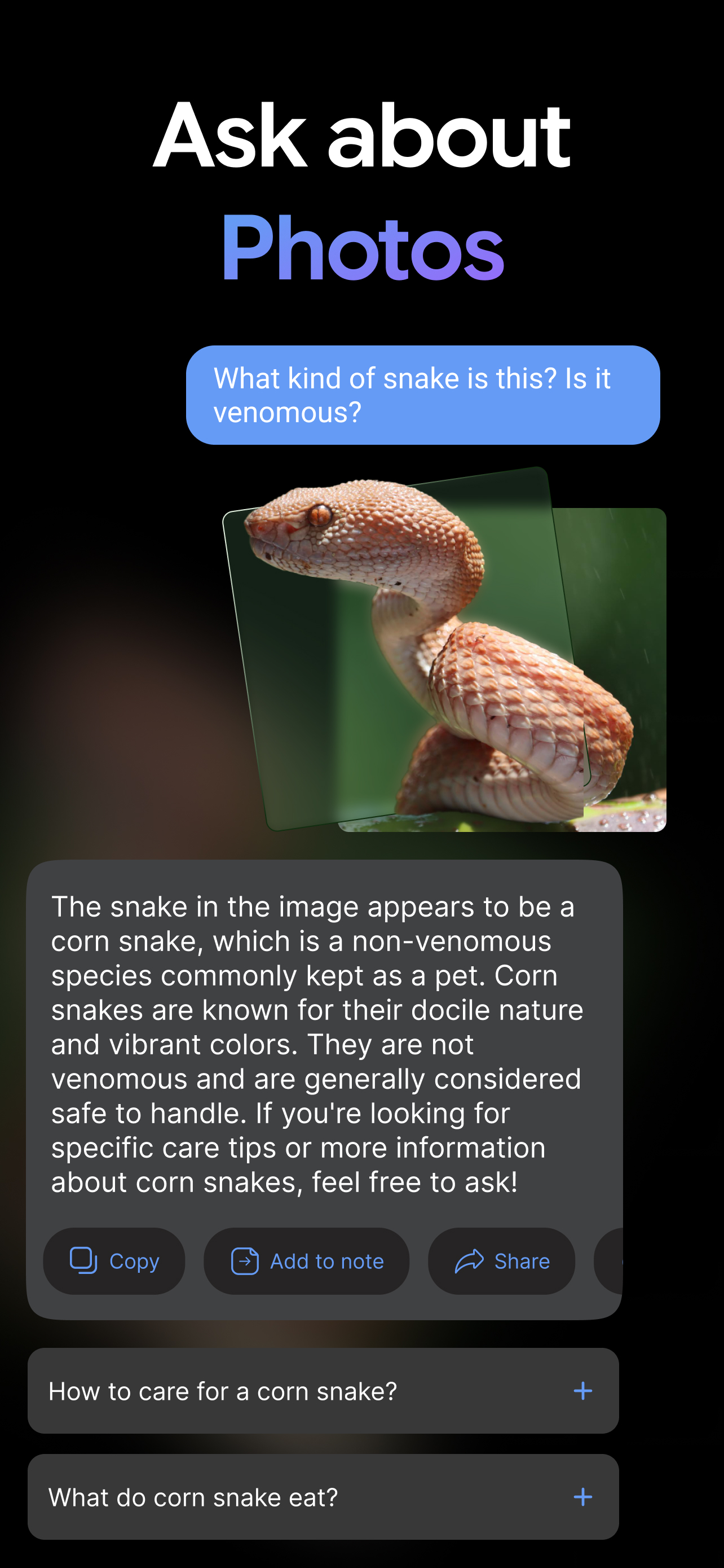 AI Chat: AI Chatbot & Agent screenshot 9