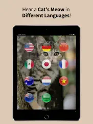 animal sounds translator ipad images 4
