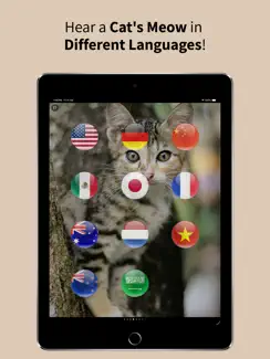 Animal Sounds Translator iPad image 4