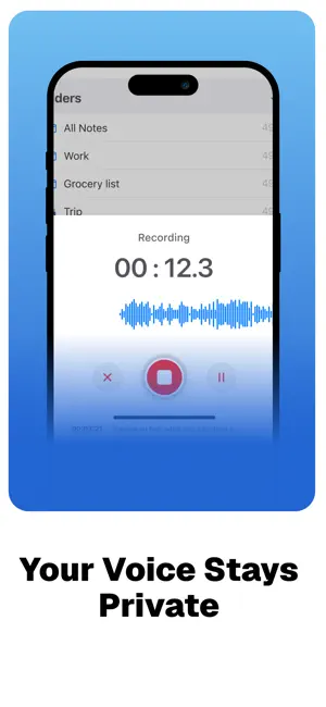 Transcription: Sprachfunk screenshot 4