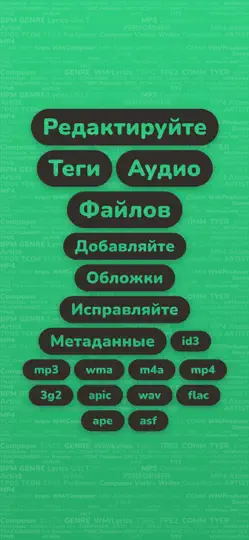 Скриншот Evertag: редактор аудио тегов на iPhone 1