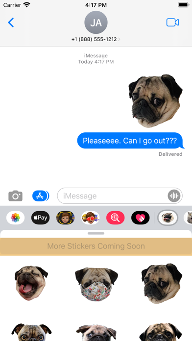 Pug Dog's Head Screenshot