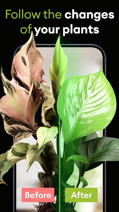 Plant Life: AI Identifier Care Screenshot