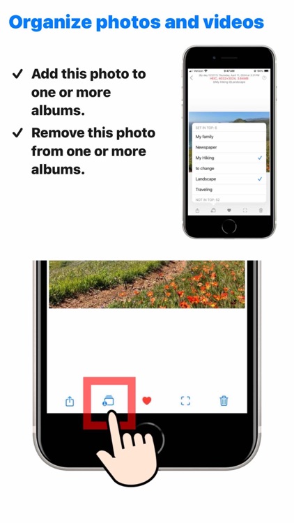 Yes Photos screenshot-7