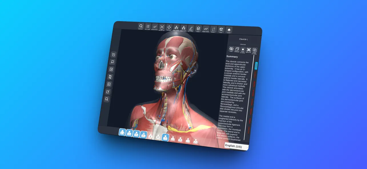 Screenshot #1 pour MALE 3D ANATOMY
