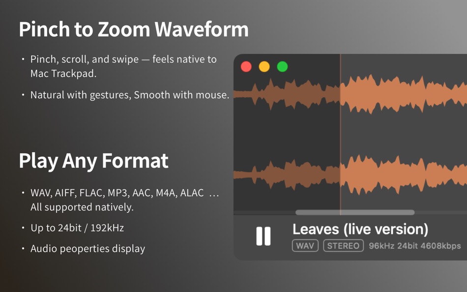 #2. Miniwave - Audio Player (macOS) 由: 轩 李