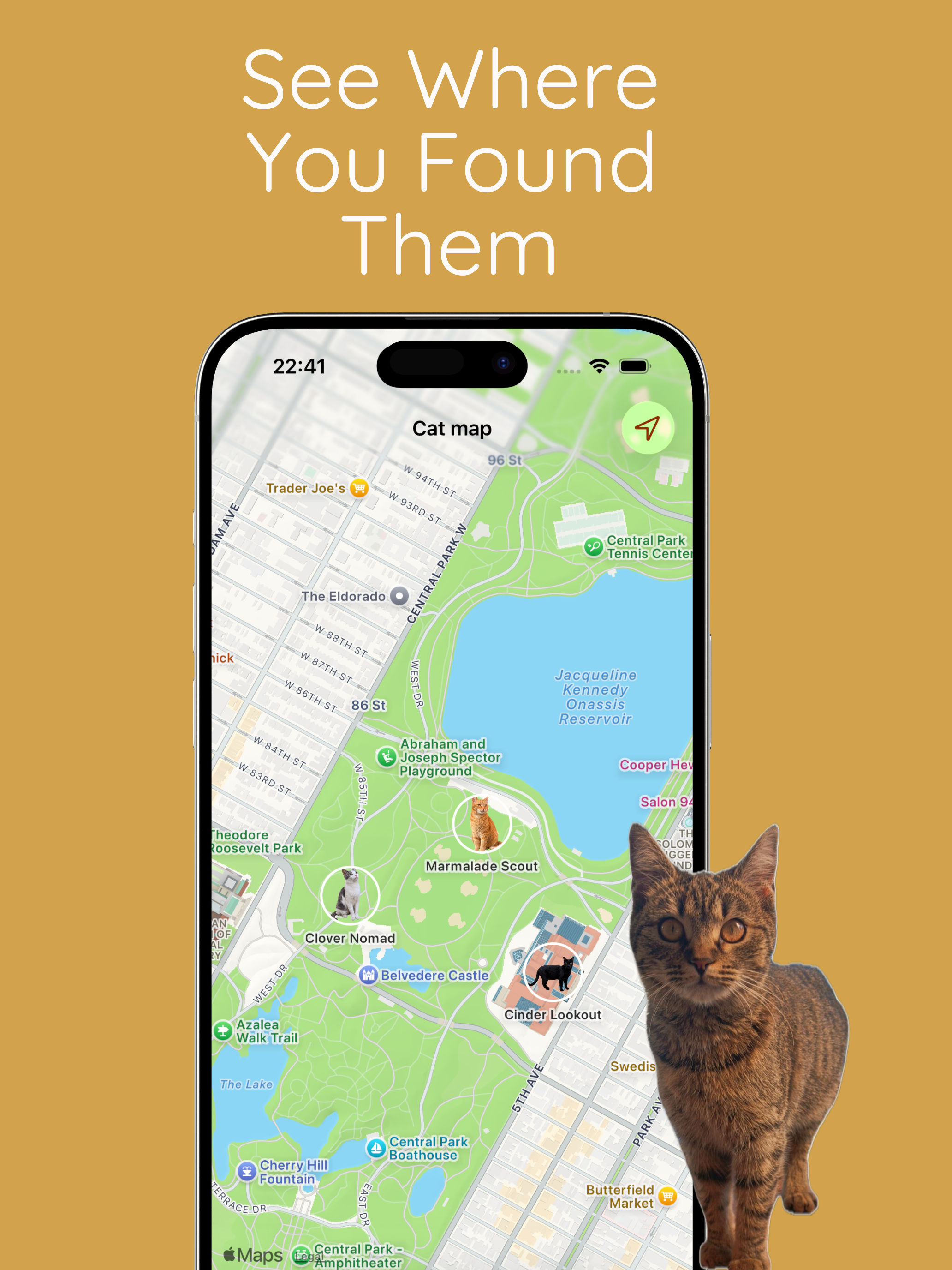 CatStamp: Catch Cat Stickers screenshot 10