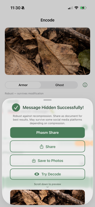 Phasm: Steganography Screenshot 2 of 5