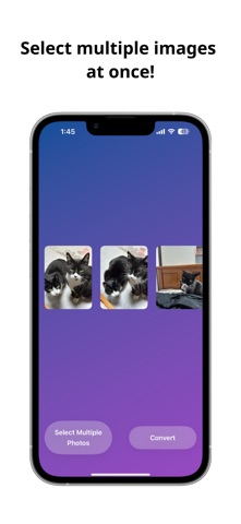 Bulk Cutout Screenshot 2 of 4