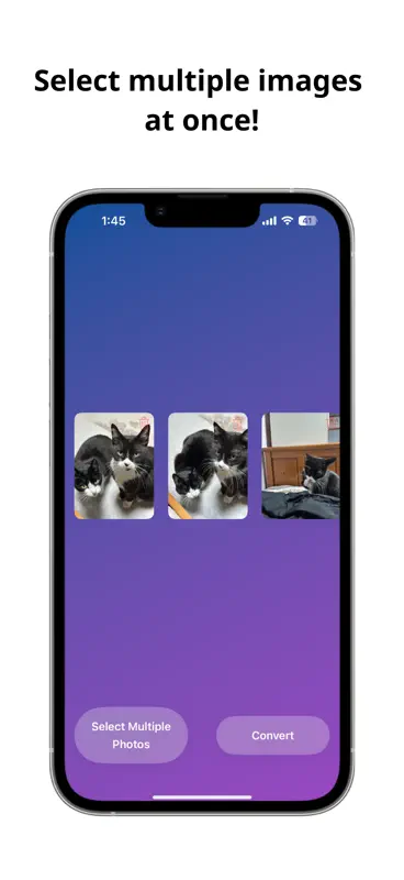 Bulk Cutout screenshot 2 of 4