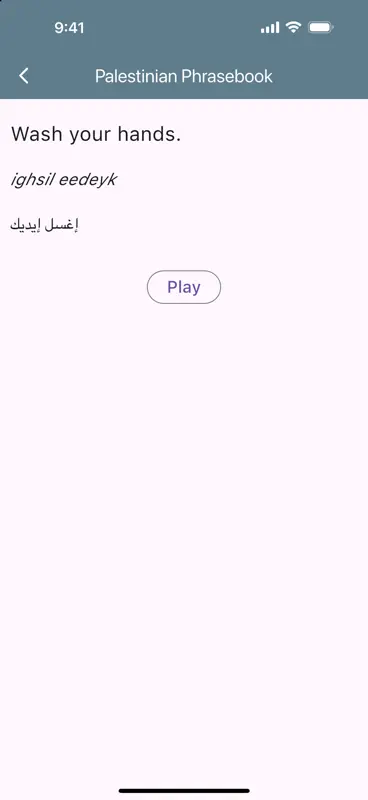 Palestinian Phrasebook screenshot 5 of 10