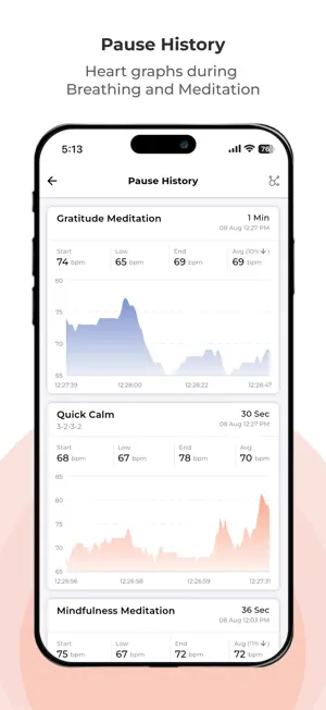 Pauser: Stress & Heart Rate screenshot 3
