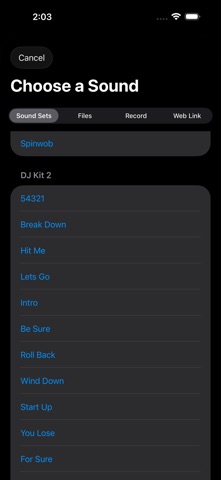 DJ SoundBox Pro Screenshot 4 of 5