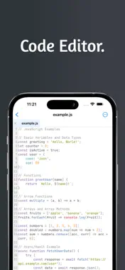 Quillr Code Editor screenshot 1