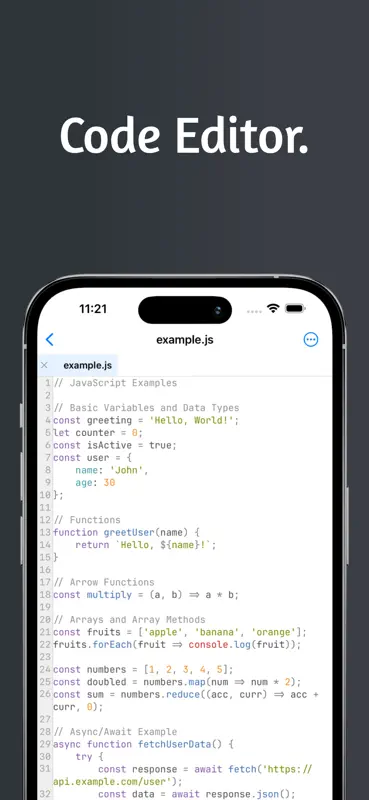 Quillr Code Editor screenshot 1 of 6