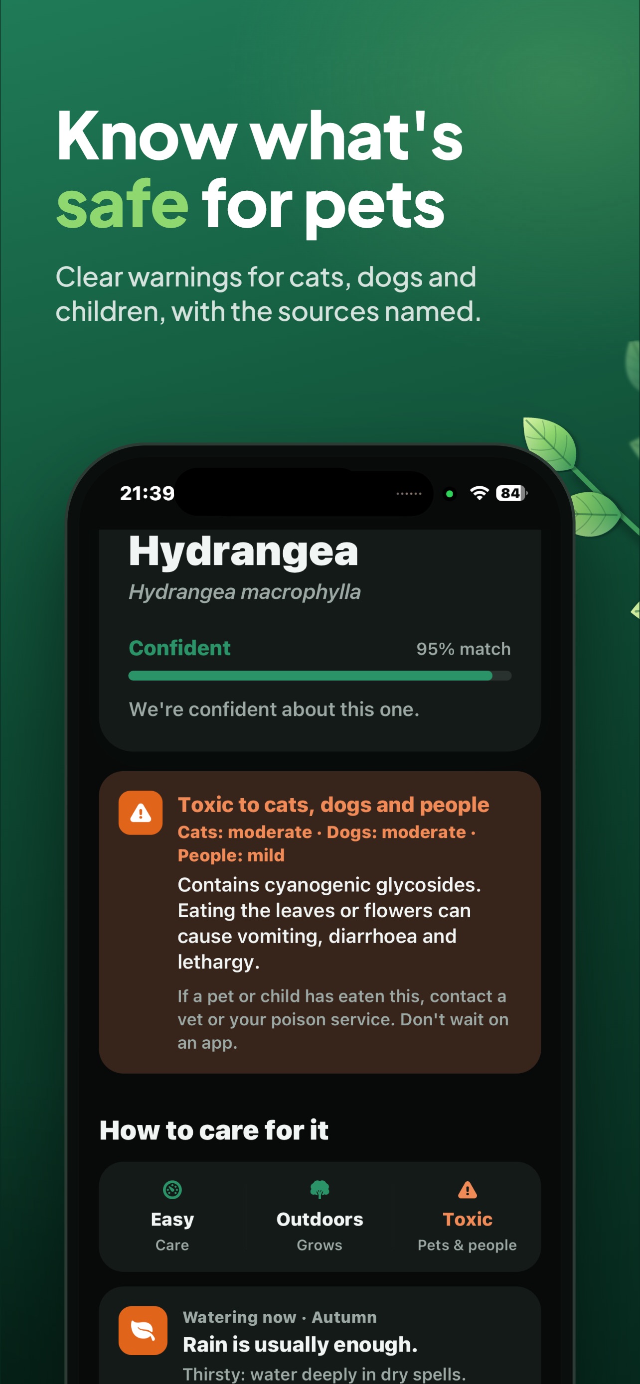 Screenshot 4 of Sorrel: Plant Identifier