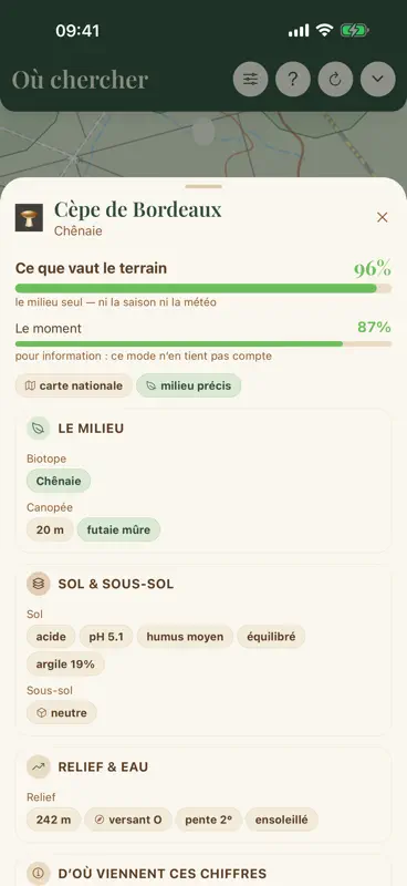 Mes Coins Champi screenshot 2 of 9