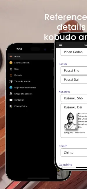 Shorin-Ryu Shorinkan Pro screenshot 2