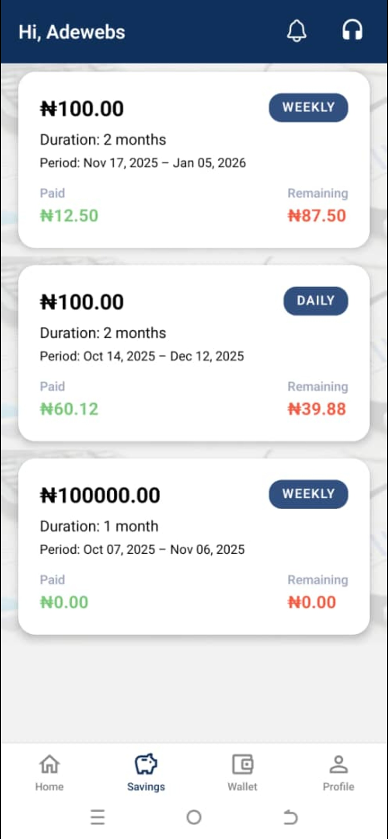 Budget Paddi screenshot 3