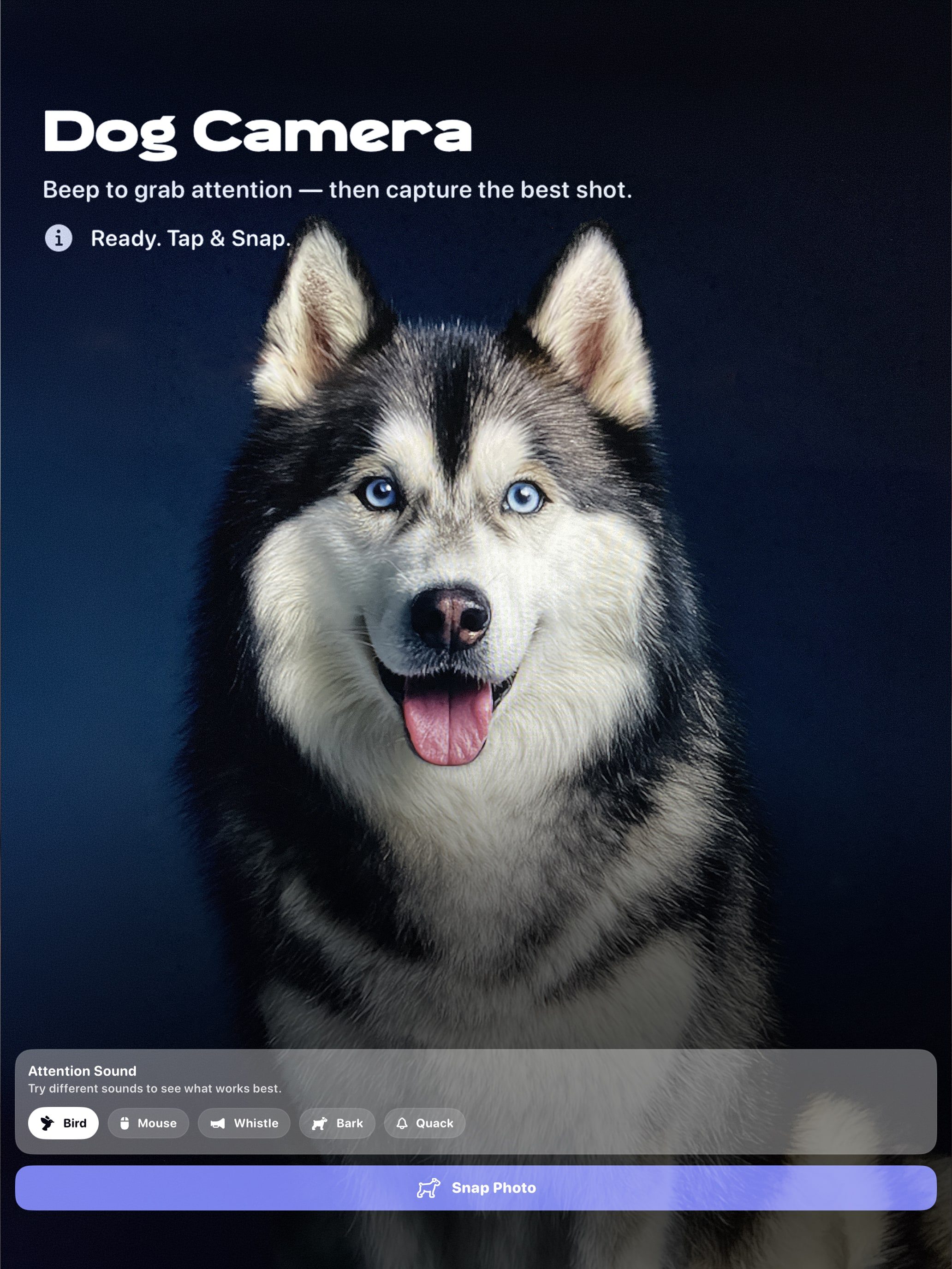 Doggy Chat - Talk to Your Dog screenshot 8