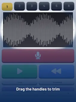 SingFun: Reverse Audio Singing screenshot 13