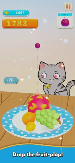 Fruits Plate screenshot 1
