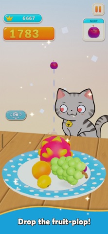 Fruits Plate Screenshot 1 of 5
