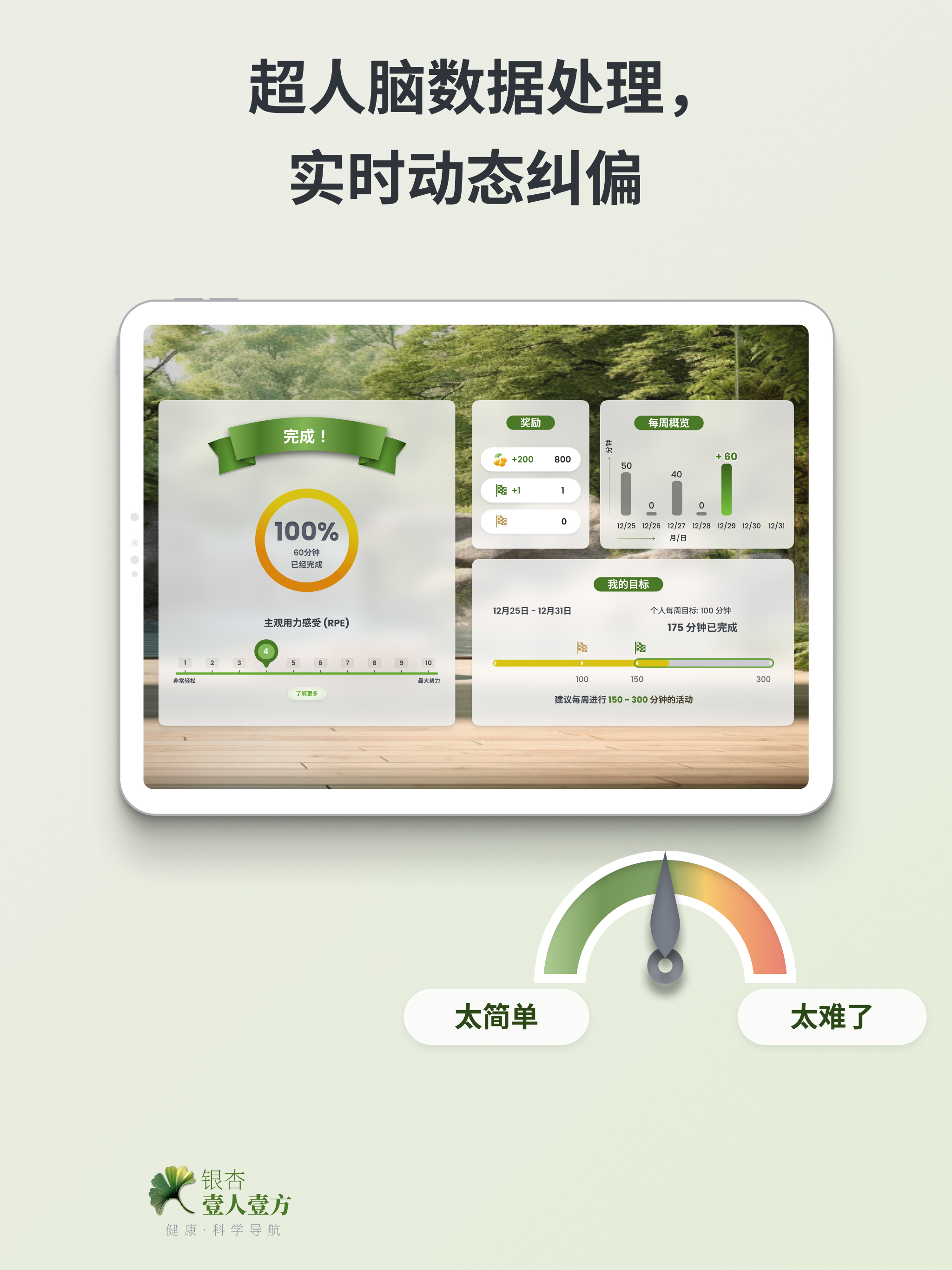 银杏·壹人壹方