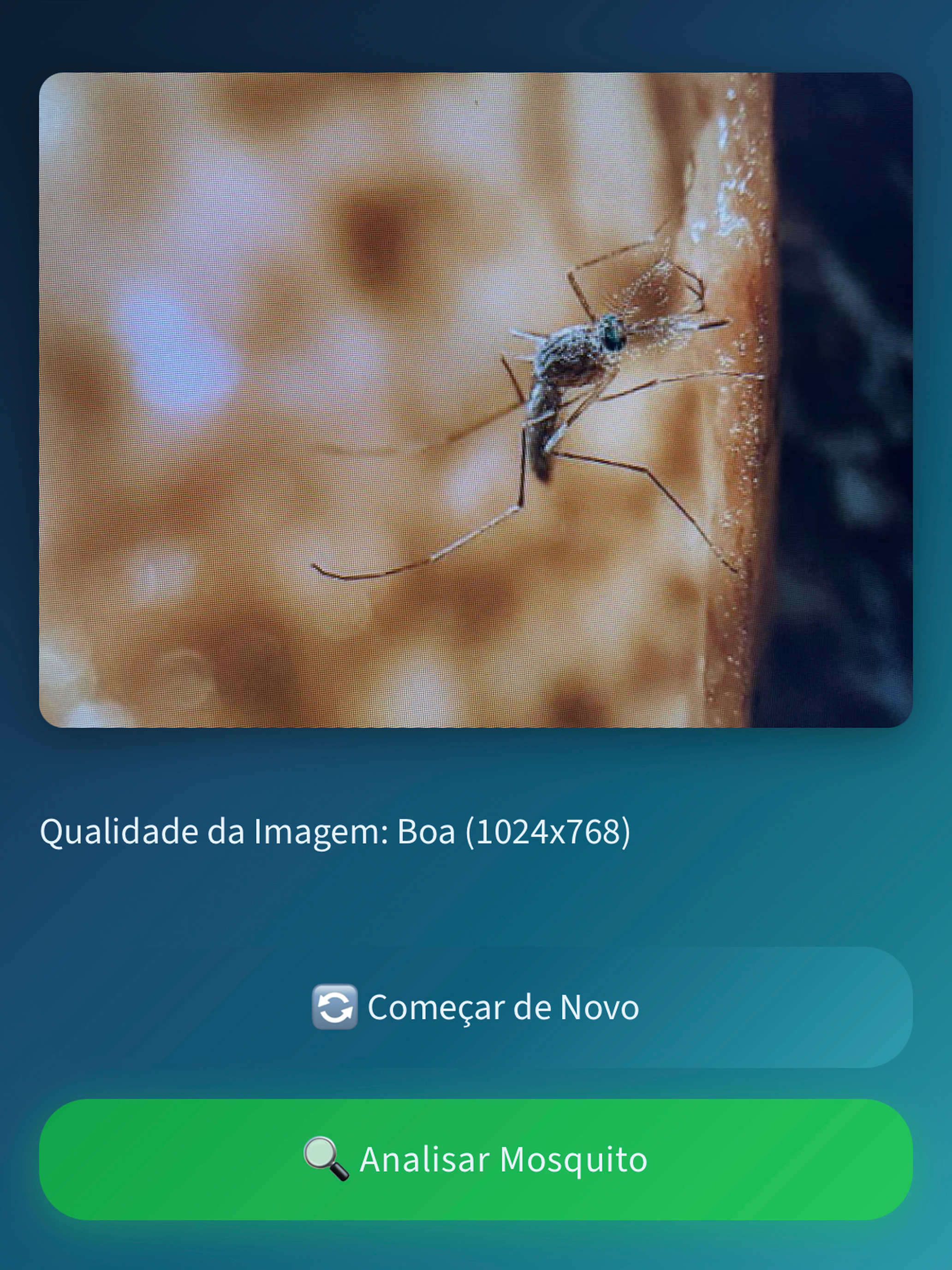 MosqAI