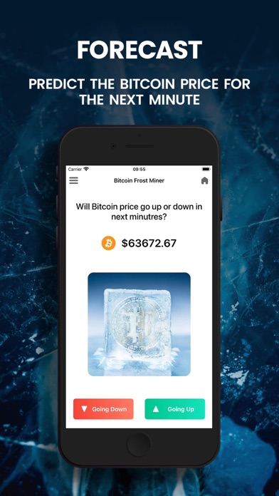 Bitcoin Frost Miner Screenshot