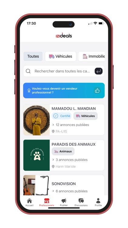izideals screenshot-4