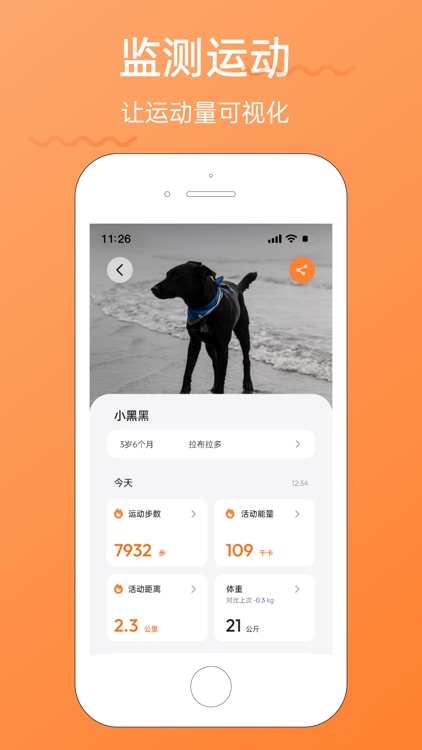 Hiay - 宠物智能 screenshot-4