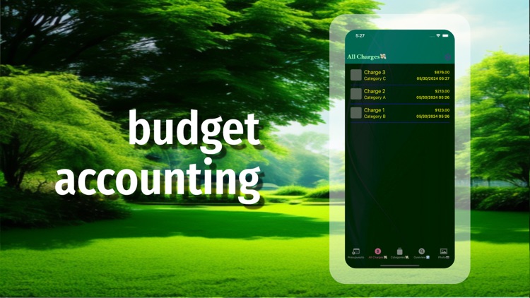 Pro Presupuesto Expert Utility