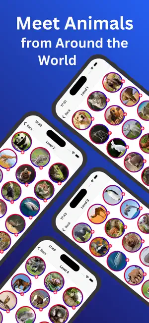 Animal Quiz: Guess the Picture screenshot 3