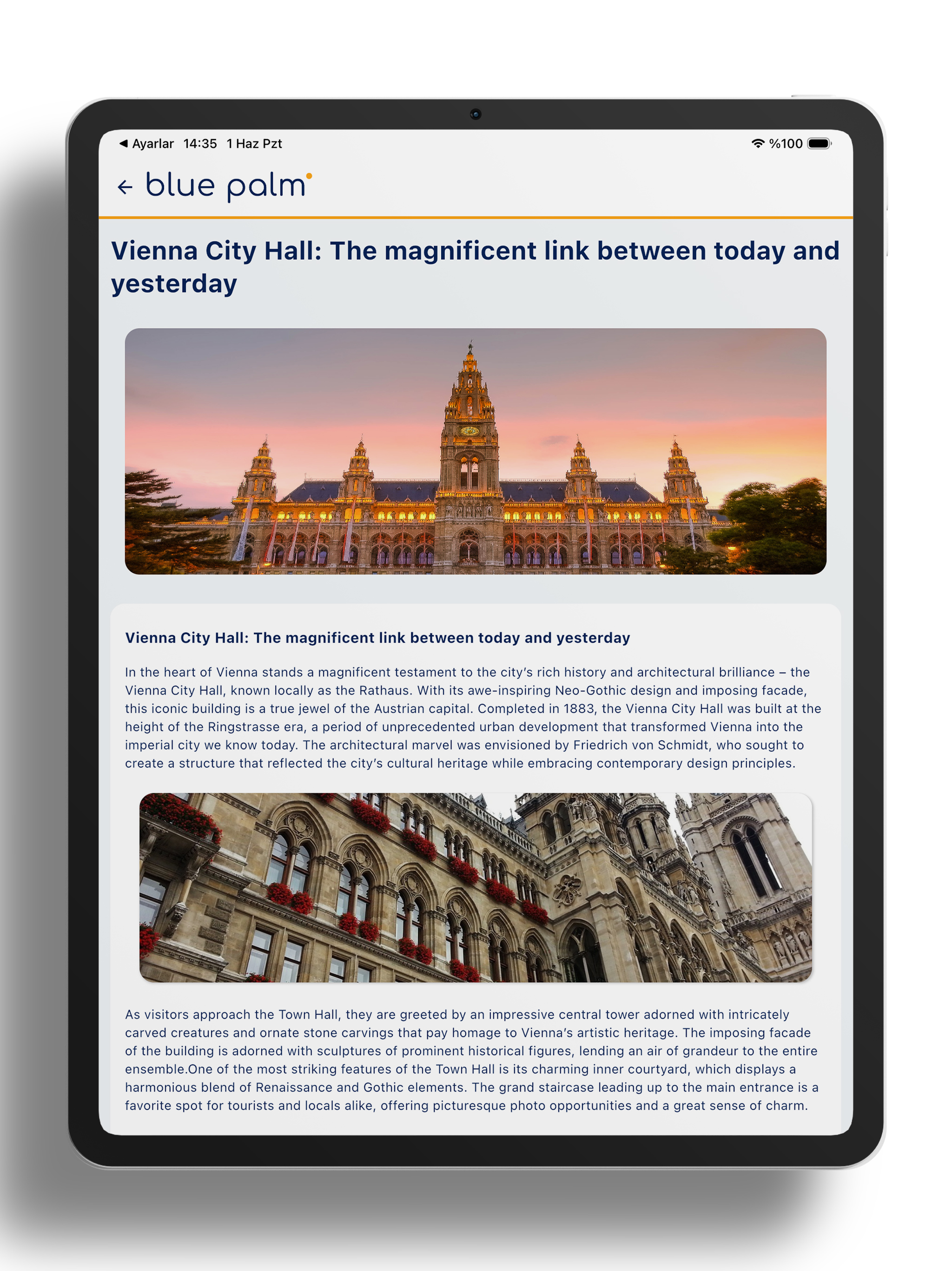 Blue Palm screenshot 11