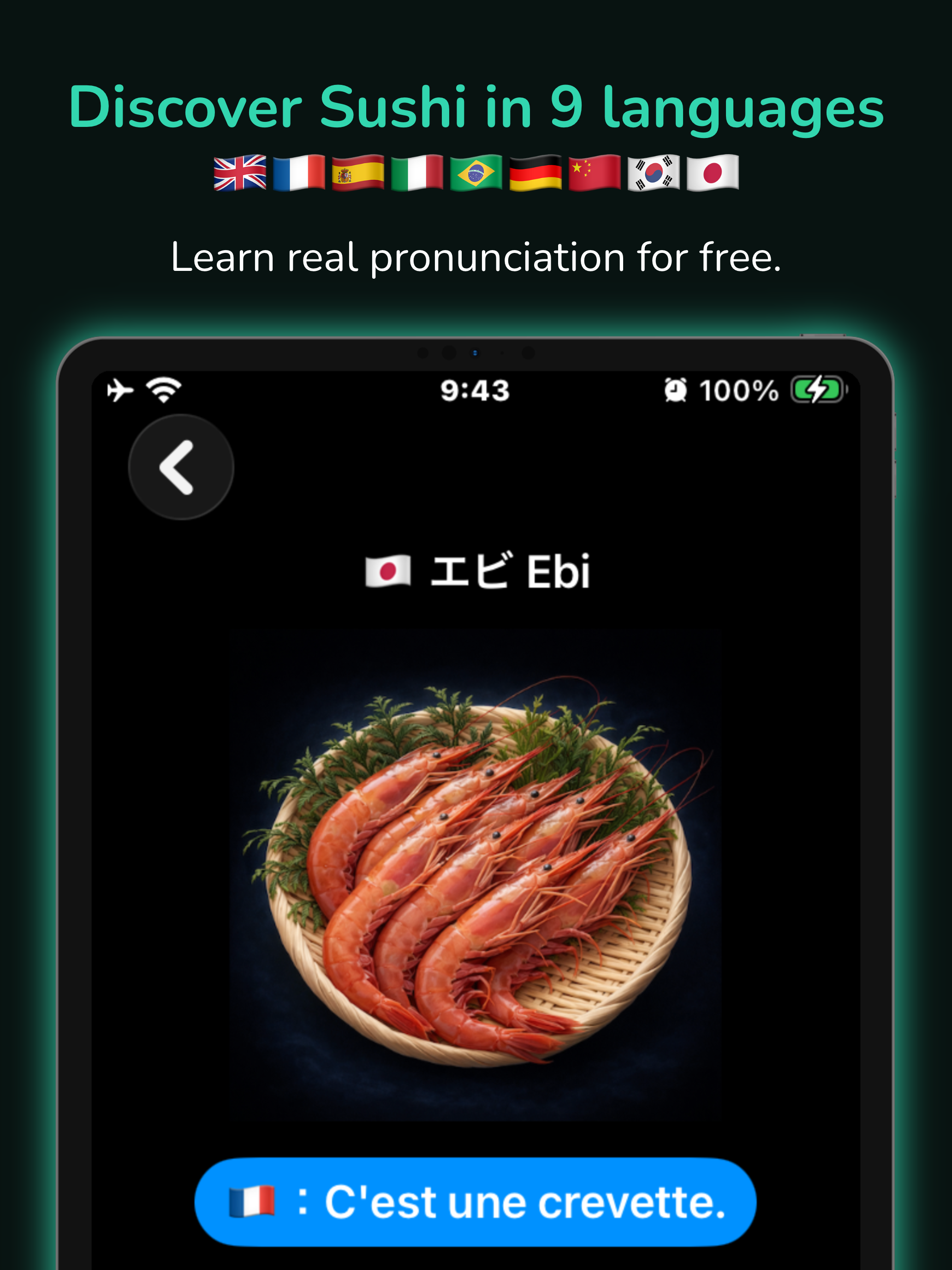 Sushi for Travelers in Japan screenshot 20