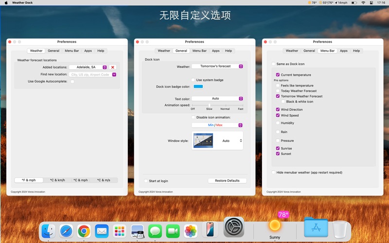 Weather Dock+ 准确的天气预报与活的Dock图标 screenshot