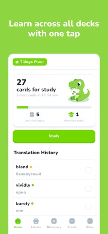 TiLingo: AI-powered flashcards Screenshot 7 of 10