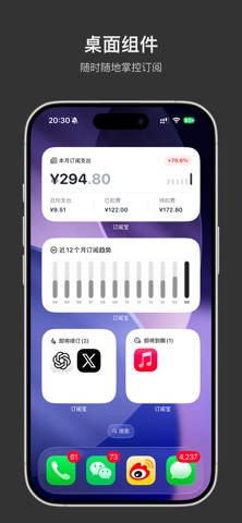 订阅宝 - 订阅管理与续费提醒 screenshot