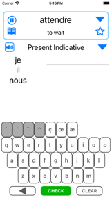 French Verb Drills screenshot