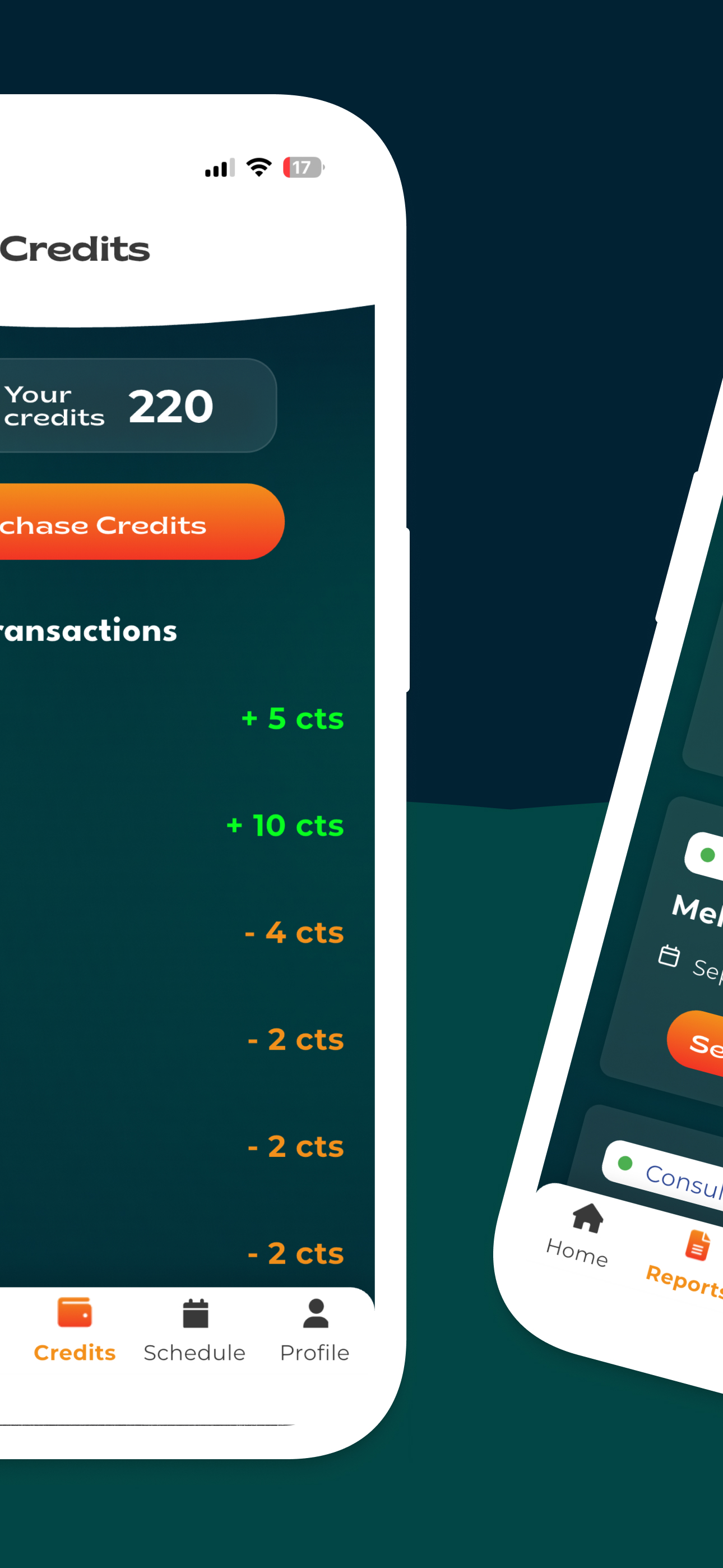 Scribe Now App