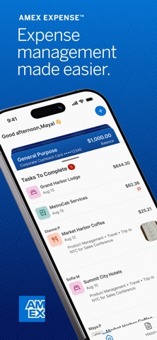Amex Expense screenshot
