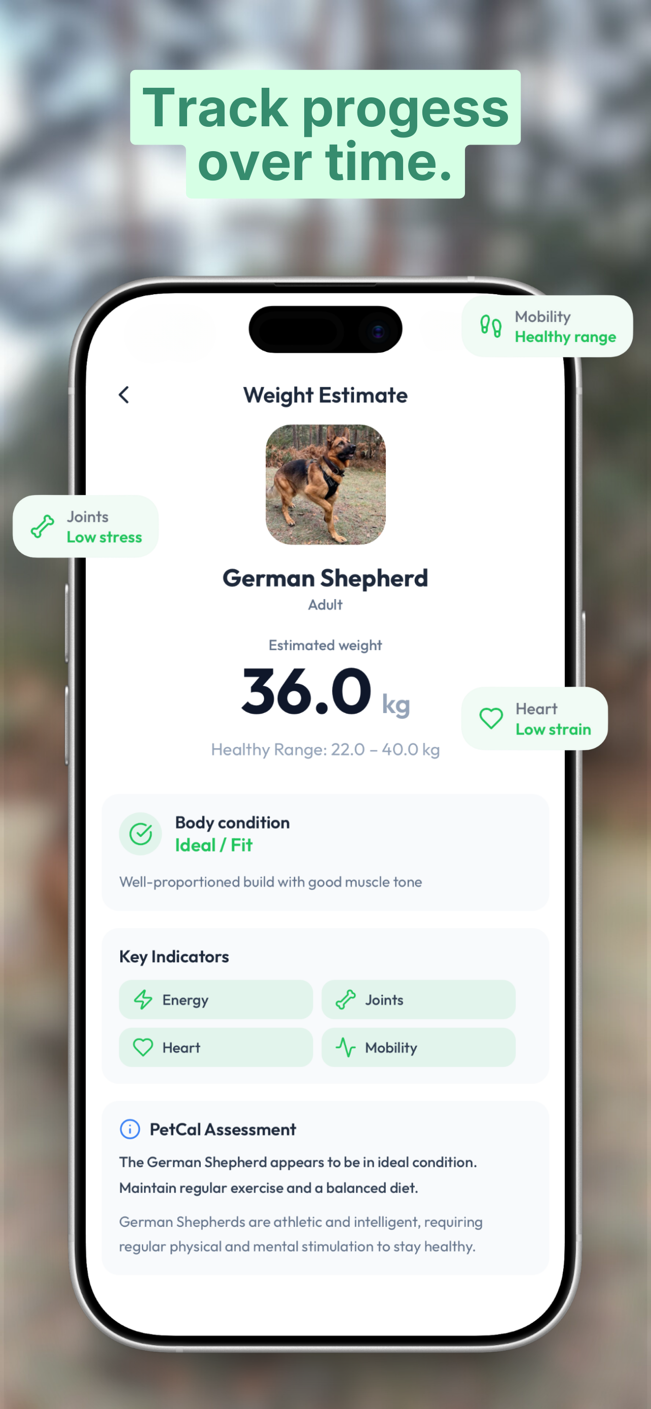 PetCal AI: Pet Care Tracker screenshot 4