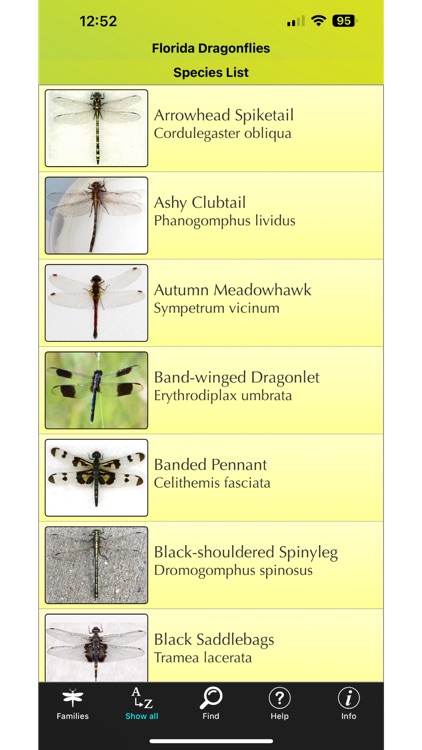 Florida Dragonflies screenshot-3