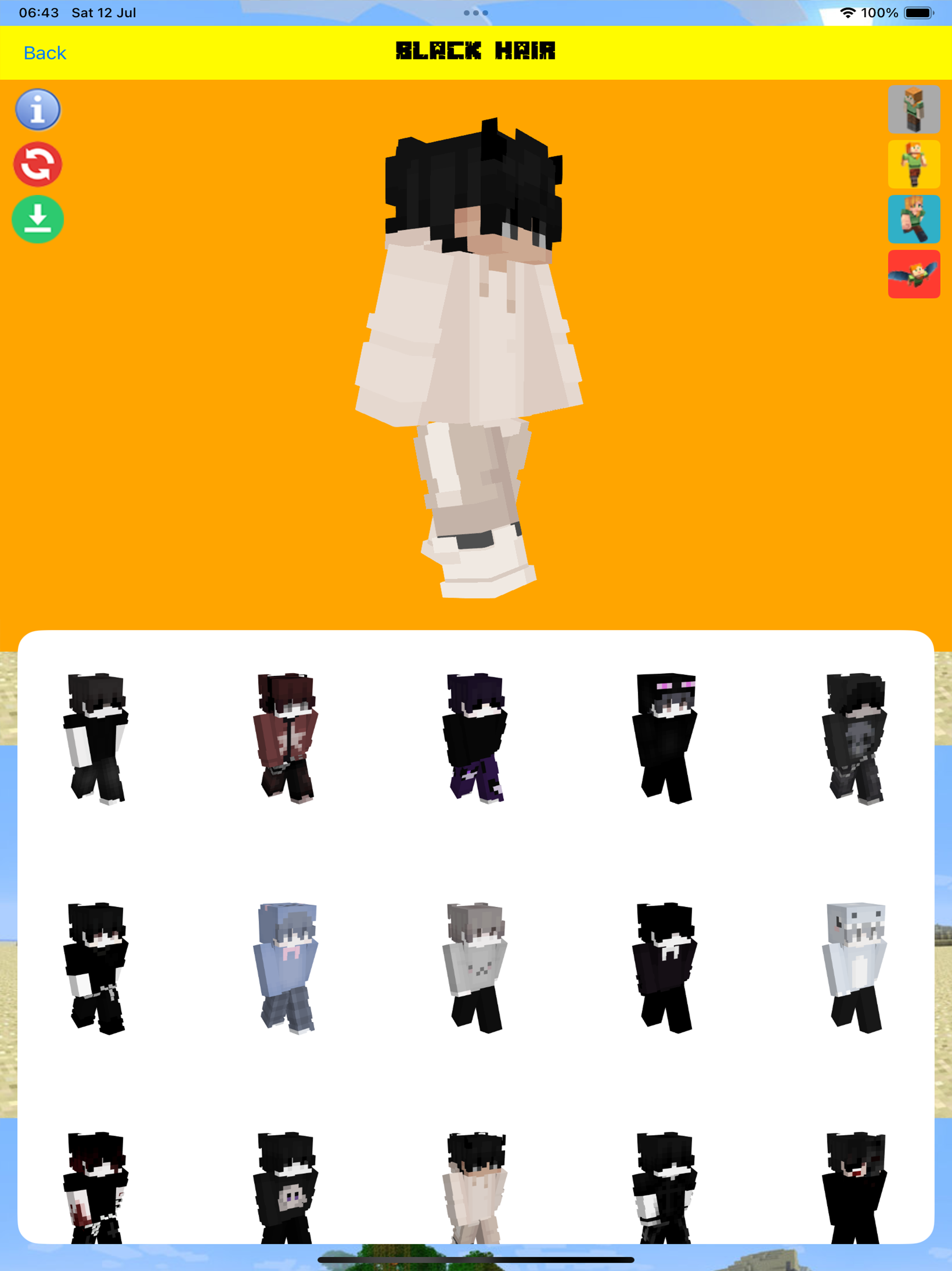 Aesthetic Skins for Minecraft